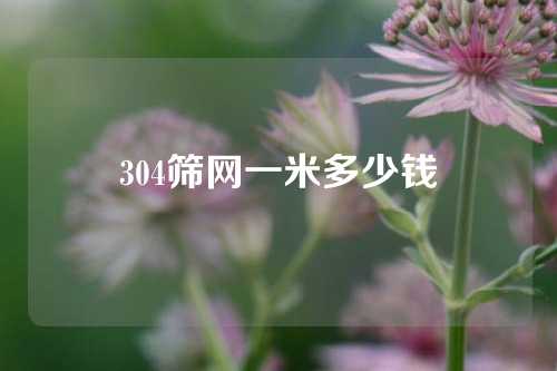 304筛网一米多少钱